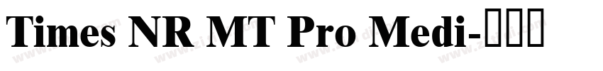 Times NR MT Pro Medi字体转换